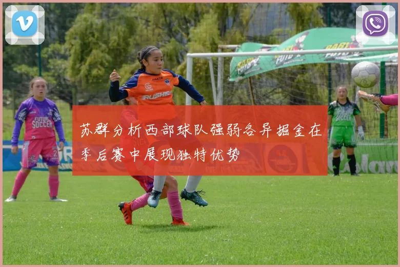 苏群分析西部球队强弱各异掘金在季后赛中展现独特优势